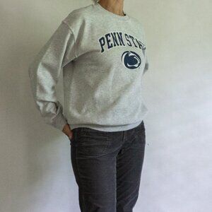 Penn State Grey Hoodie Logo Nittany Lion Sz Medium